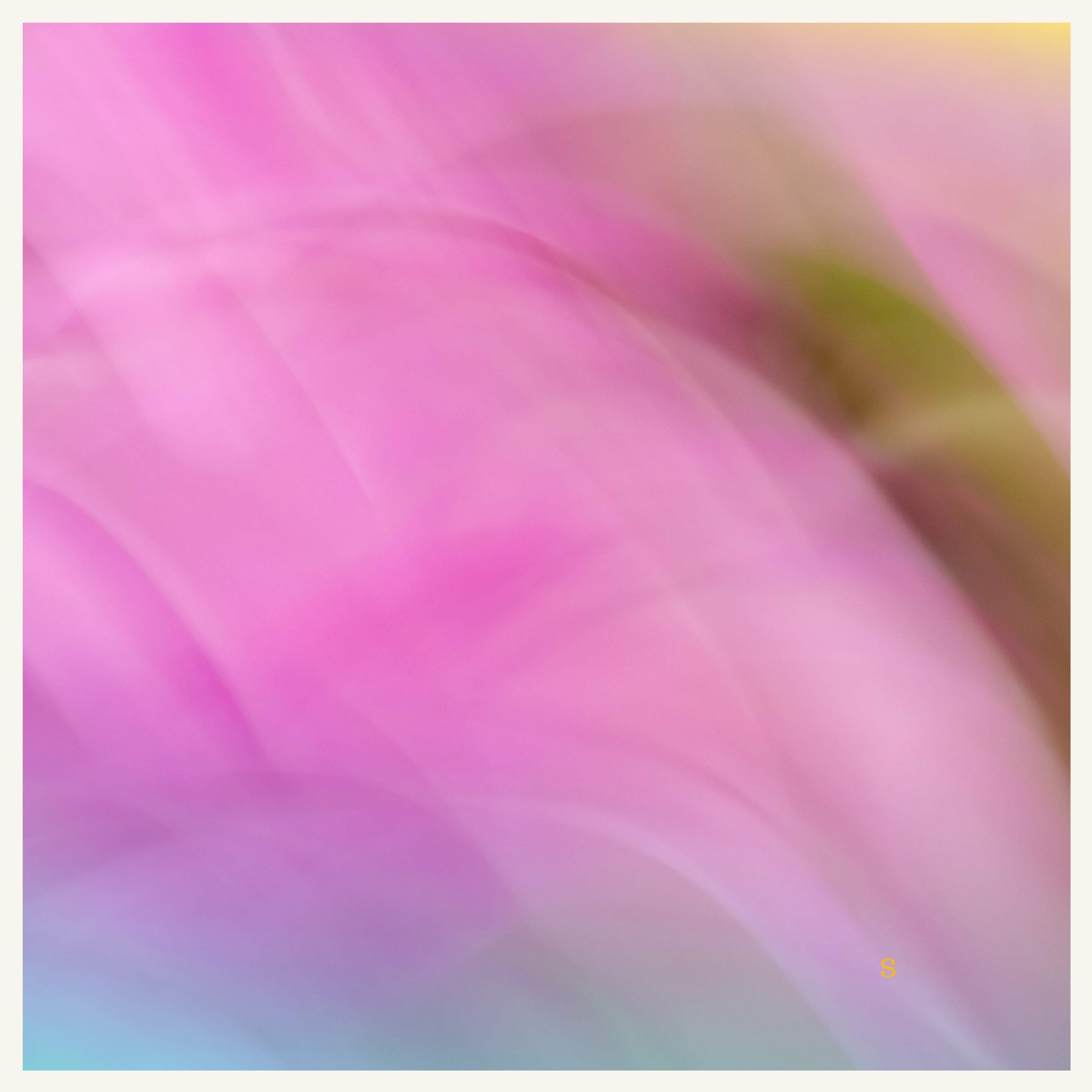 Sweet Gratitude Silk Satin Scarf